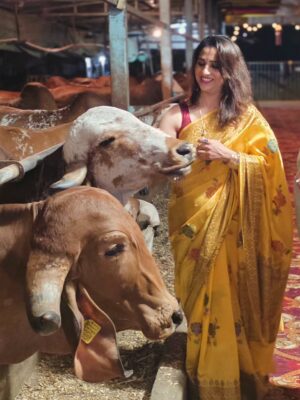 Madhurani Gokhale Instagram - माझी बहीण अमृता सहस्रबुद्धे आणि तिचे पती रविशंकर सहस्रबुद्धे यांची रावेत येथे १०० देशी गायींची गोशाळा आहे. काल वसुबारसेनिमित्त तिथे मोठे यज्ञ झाला. कालची वसुबारस छान साजरी झाली.
@gokhalesahasrabudhe
@ravishankar79