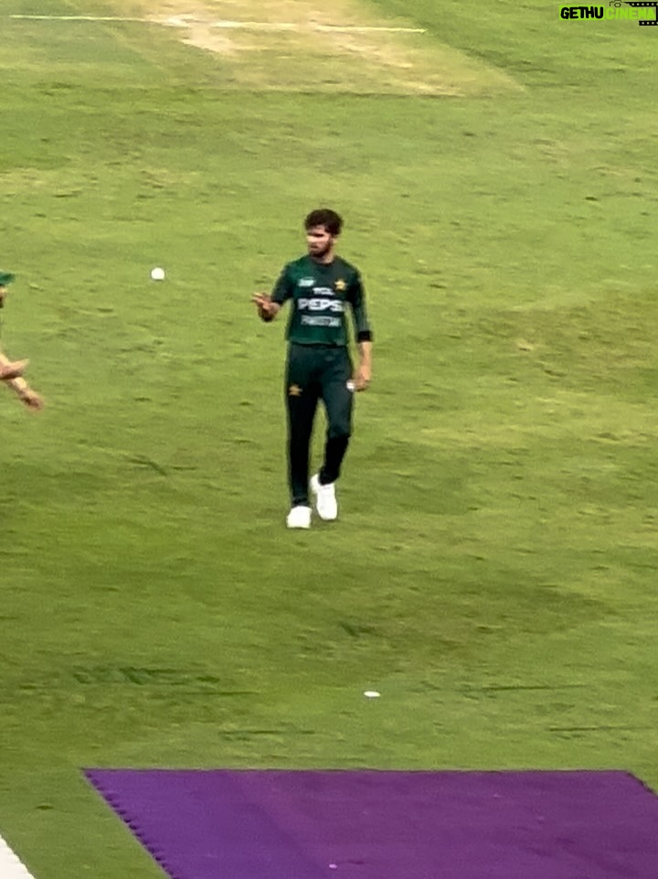 Madiha Iftikhar - 2.9K Likes - Green shirts dominate UAE 💚🇵🇰
@zainab_shahidk 

#madihaiftikhar #cricketmatch #pakistanuae #uae❤️ #uae #dubai #asiacup2025 #wewon #shaheenafridi