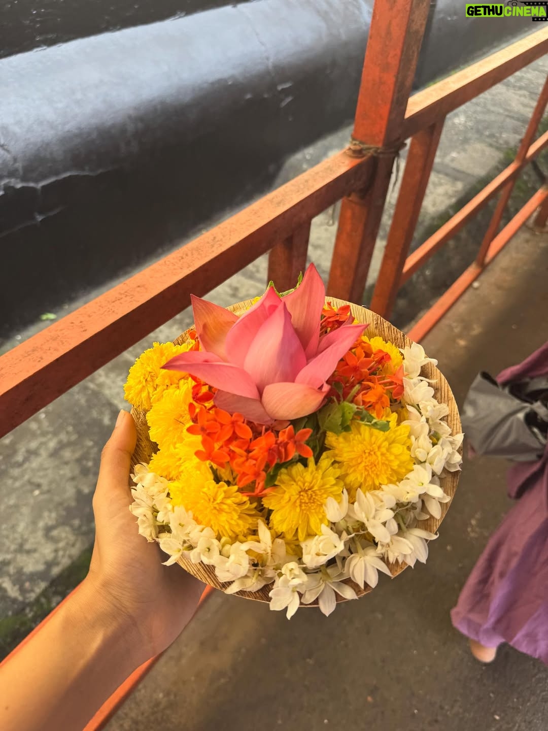 Mahima Nambiar - 180.3K Likes - Raw and Basic 🤍