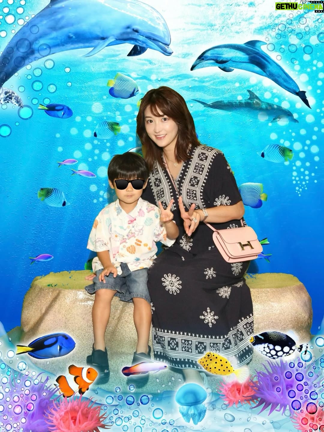 Mai Hakase - 823 Likes - 息子がチンアナゴが好きでチンアナゴを見に行った日🫶
2人で水族館は何年ぶりだろうか、、たぶん3年ぶりくらいな気がする🤭1歳の頃は年パス買ってよく連れて行ってたんだけど、引っ越してからはこれてなかったー！やはり1歳の時とは過ごし方も違って私も楽しめました☺️🐬
イルカショー見ていつも感動する🥹イルカて賢いよねほんと😳

#息子の夏休み
#インター生の夏休み
#4歳夏