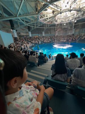 Mai Hakase Instagram - 息子がチンアナゴが好きでチンアナゴを見に行った日🫶
2人で水族館は何年ぶりだろうか、、たぶん3年ぶりくらいな気がする🤭1歳の頃は年パス買ってよく連れて行ってたんだけど、引っ越してからはこれてなかったー！やはり1歳の時とは過ごし方も違って私も楽しめました☺️🐬
イルカショー見ていつも感動する🥹イルカて賢いよねほんと😳

#息子の夏休み
#インター生の夏休み
#4歳夏
