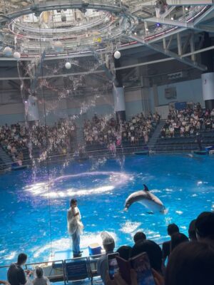Mai Hakase Instagram - 息子がチンアナゴが好きでチンアナゴを見に行った日🫶
2人で水族館は何年ぶりだろうか、、たぶん3年ぶりくらいな気がする🤭1歳の頃は年パス買ってよく連れて行ってたんだけど、引っ越してからはこれてなかったー！やはり1歳の時とは過ごし方も違って私も楽しめました☺️🐬
イルカショー見ていつも感動する🥹イルカて賢いよねほんと😳

#息子の夏休み
#インター生の夏休み
#4歳夏