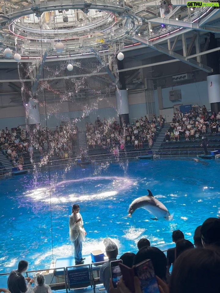 Mai Hakase - 823 Likes - 息子がチンアナゴが好きでチンアナゴを見に行った日🫶
2人で水族館は何年ぶりだろうか、、たぶん3年ぶりくらいな気がする🤭1歳の頃は年パス買ってよく連れて行ってたんだけど、引っ越してからはこれてなかったー！やはり1歳の時とは過ごし方も違って私も楽しめました☺️🐬
イルカショー見ていつも感動する🥹イルカて賢いよねほんと😳

#息子の夏休み
#インター生の夏休み
#4歳夏