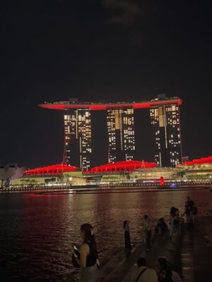 Mai Hakase Instagram - Singapore 🇸🇬🩷
ぶれてるしマーライオンの水浴びてるみたいに撮れた写真✌️
コロナ前ぶりのシンガポール❣️
子供できてからは初めて🤩
子供のあそぶところたくさんだし、子供に優しい子供天国すぎる国‼️子供達も毎日楽しく過ごしてます😎

#singapore #マーライオン
#marinabaysand 
#merlion
#子連れシンガポール