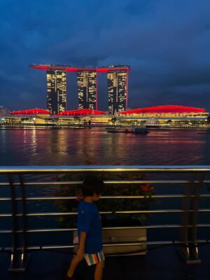 Mai Hakase Instagram - Singapore 🇸🇬🩷
ぶれてるしマーライオンの水浴びてるみたいに撮れた写真✌️
コロナ前ぶりのシンガポール❣️
子供できてからは初めて🤩
子供のあそぶところたくさんだし、子供に優しい子供天国すぎる国‼️子供達も毎日楽しく過ごしてます😎

#singapore #マーライオン
#marinabaysand 
#merlion
#子連れシンガポール