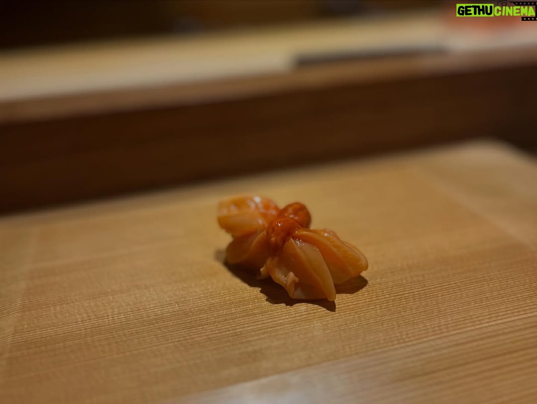 Mai Hakase - 875 Likes - 波濤の定例女子会🍣で大盛り上がりしていたら、、
なんと‼️
横の席に先日横綱に昇進された大の里関がいらっしゃって写真も撮っていただきました😳‼️
192センチということでとーーーっても大きくてびっくりしましたが、気さくだし可愛らしい人で吉瀬さんにデレデレでした🤭🩷（わかるよ、女でもデレデレになるくらい綺麗だし可愛いんです🩷）

集合写真一括AIレタッチかけたら吉瀬さんだけ反応しなかったです😅おそらく顔小さすぎるんです😍
かわりに大の里関がAIレタッチかかっちゃってます😅

#大の里関
#横綱昇進おめでとうございます