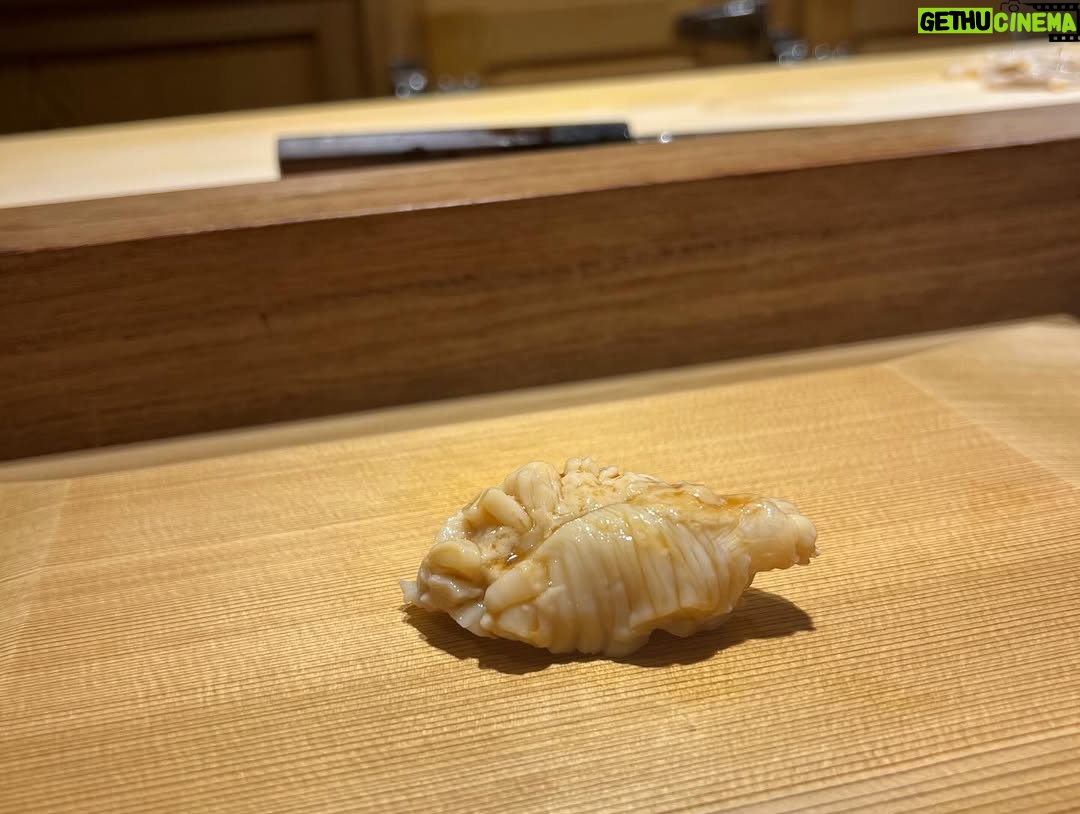 Mai Hakase - 875 Likes - 波濤の定例女子会🍣で大盛り上がりしていたら、、
なんと‼️
横の席に先日横綱に昇進された大の里関がいらっしゃって写真も撮っていただきました😳‼️
192センチということでとーーーっても大きくてびっくりしましたが、気さくだし可愛らしい人で吉瀬さんにデレデレでした🤭🩷（わかるよ、女でもデレデレになるくらい綺麗だし可愛いんです🩷）

集合写真一括AIレタッチかけたら吉瀬さんだけ反応しなかったです😅おそらく顔小さすぎるんです😍
かわりに大の里関がAIレタッチかかっちゃってます😅

#大の里関
#横綱昇進おめでとうございます