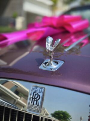 Mai Omar Instagram - Thank you my love for my beautiful birthday gift , I'm in love with the color 🎁 feeling blessed, spoiled, and loved 💕
@directormohamedsami