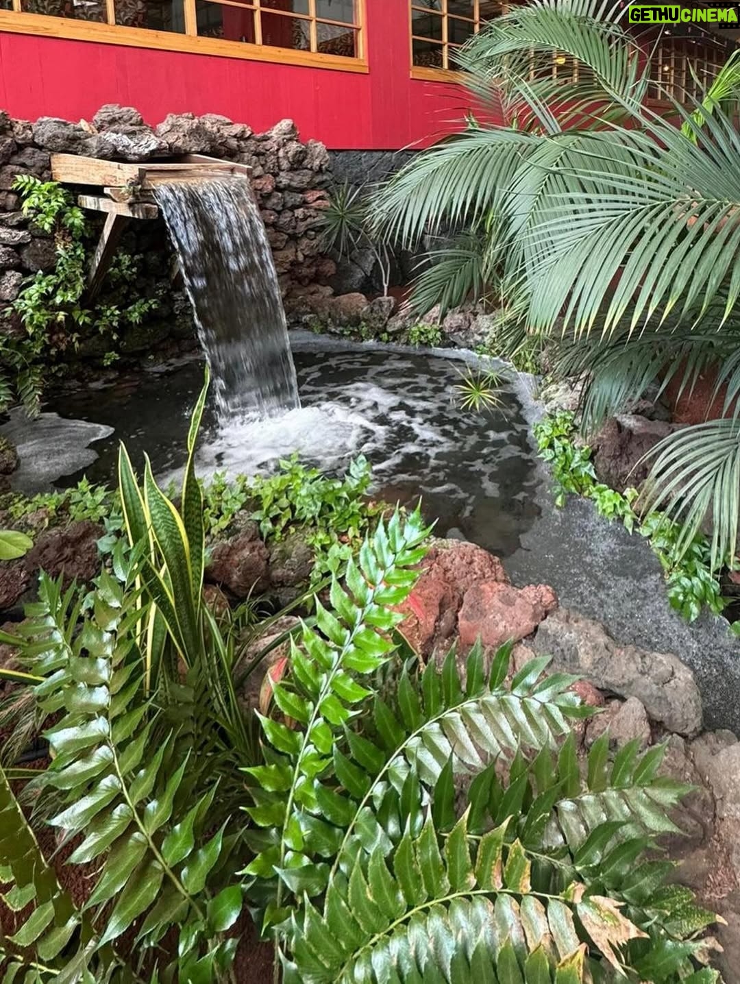 Malú - 43.7K Likes - Días maravillosos de desconexión en Lanzarote! En un lugar mágico q ya se está empezando a convertir en mi casa… 
He comido, he reído, he bailado, he disfrutado de mi familia, he descansado, los más peques no han parado ni un minuto… 
Y todo en este maravilloso lugar @princesayaiza en el q una vez más nos han tratado increíble haciéndonos sentir como en casa ❤️
Han sido días muy felices para todos! 
Millones de gracias !