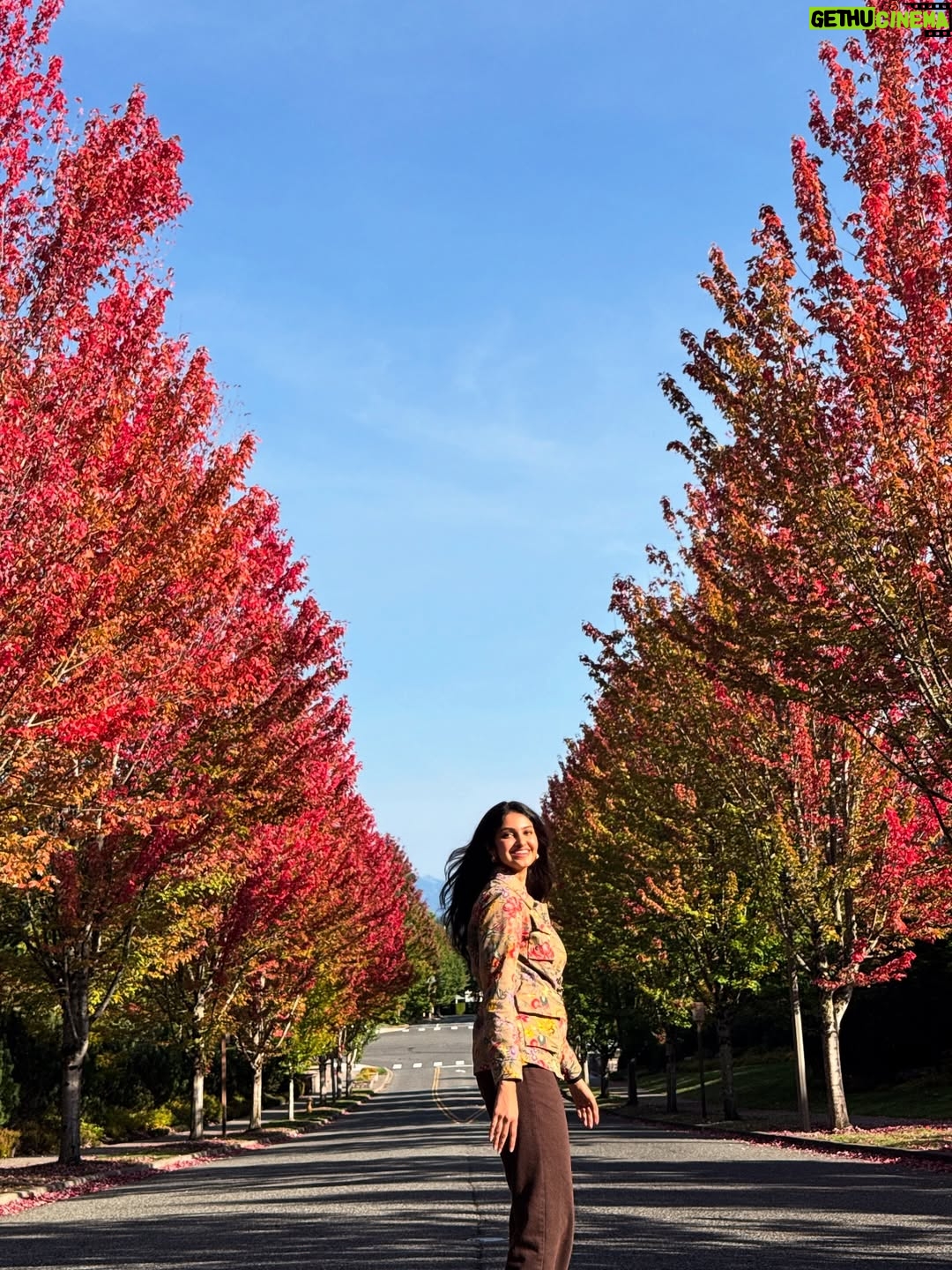Manasa Varanasi - 29.9K Likes - Fall leaves, pristine air and glacier water .. obsessed 🍁🧊🌬️ nature’s gourmet. Love you Seattle 🤍 

#gratitude #fall #leaves 
#seattle #instagood #instamood 
#waterfall #air #breathe