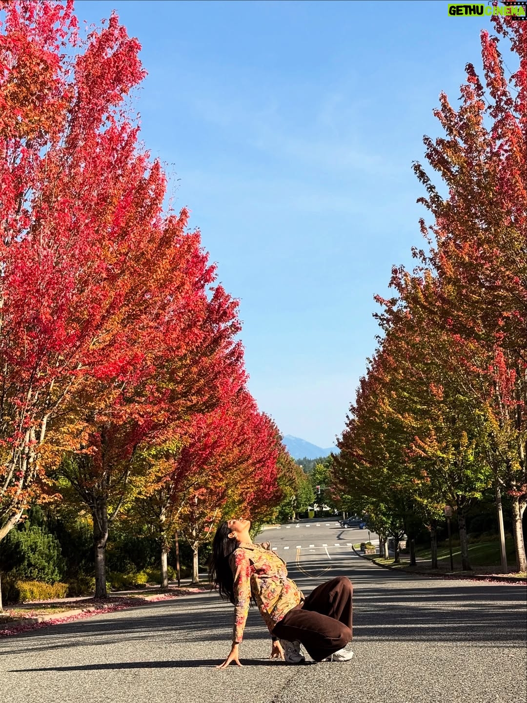 Manasa Varanasi - 29.9K Likes - Fall leaves, pristine air and glacier water .. obsessed 🍁🧊🌬️ nature’s gourmet. Love you Seattle 🤍 

#gratitude #fall #leaves 
#seattle #instagood #instamood 
#waterfall #air #breathe