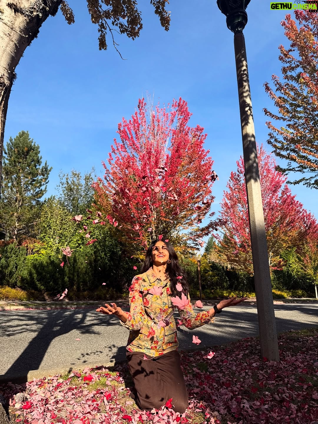 Manasa Varanasi - 29.9K Likes - Fall leaves, pristine air and glacier water .. obsessed 🍁🧊🌬️ nature’s gourmet. Love you Seattle 🤍 

#gratitude #fall #leaves 
#seattle #instagood #instamood 
#waterfall #air #breathe