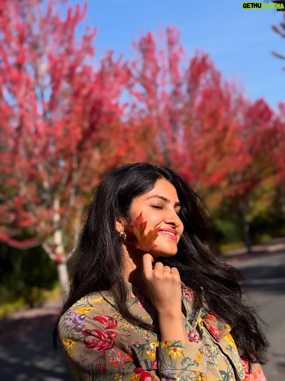 Manasa Varanasi - 29.9K Likes - Fall leaves, pristine air and glacier water .. obsessed 🍁🧊🌬️ nature’s gourmet. Love you Seattle 🤍 

#gratitude #fall #leaves 
#seattle #instagood #instamood 
#waterfall #air #breathe