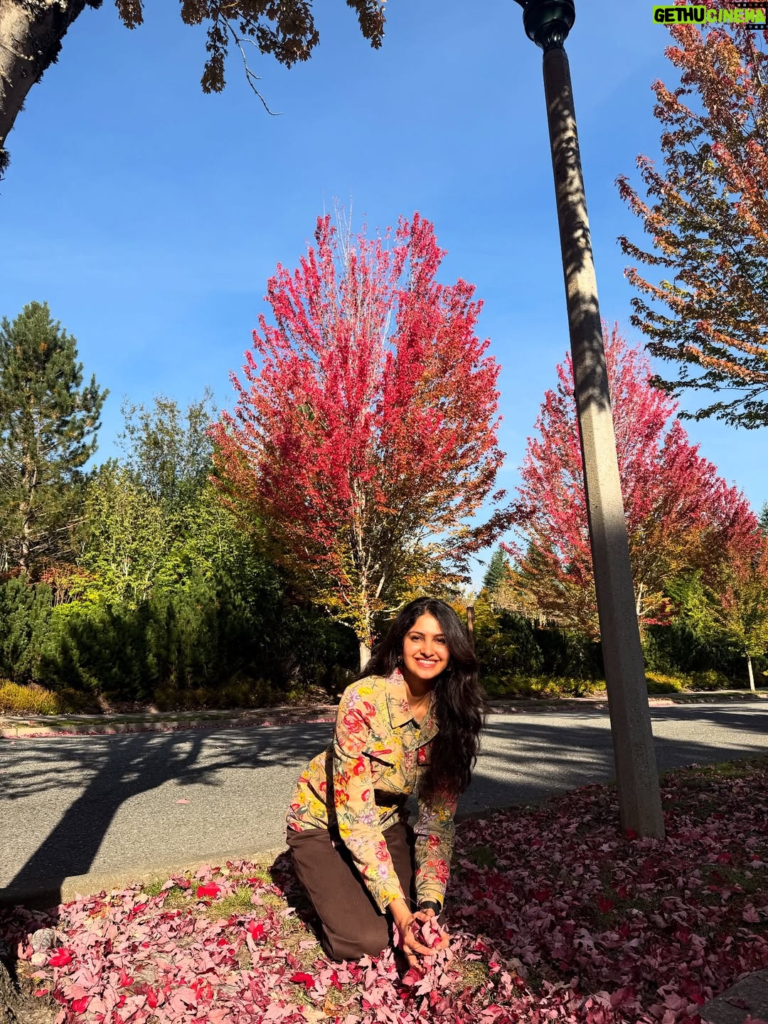Manasa Varanasi - 29.9K Likes - Fall leaves, pristine air and glacier water .. obsessed 🍁🧊🌬️ nature’s gourmet. Love you Seattle 🤍 

#gratitude #fall #leaves 
#seattle #instagood #instamood 
#waterfall #air #breathe