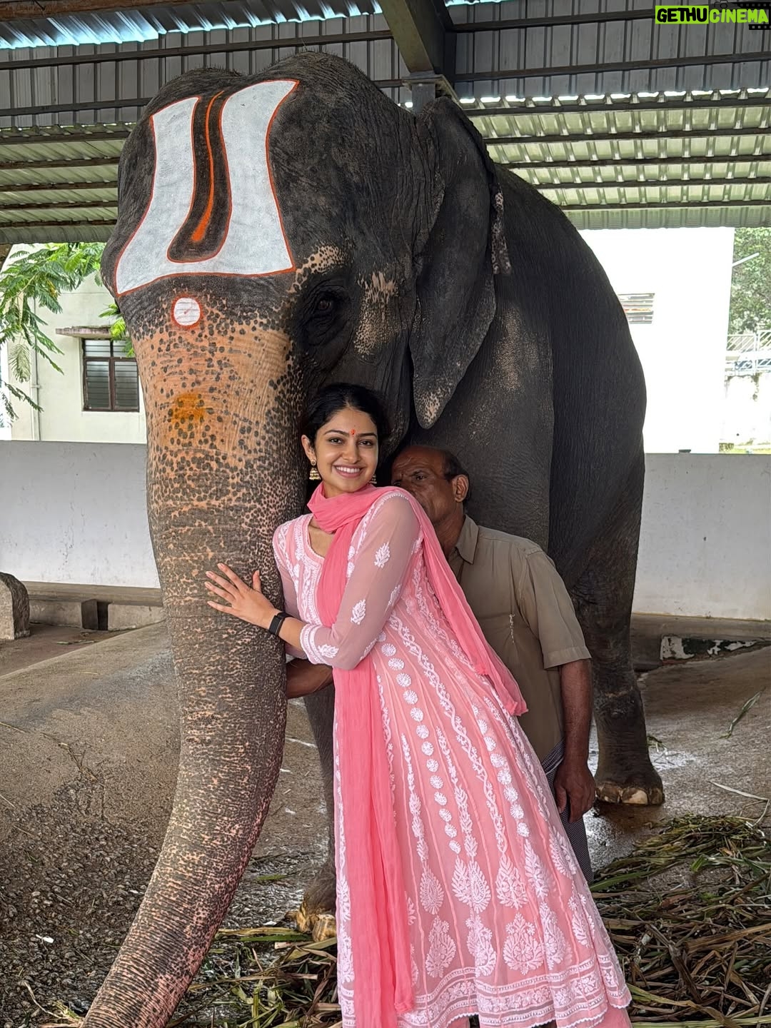 Manasa Varanasi - 43K Likes - First time climbing the hills to Tirumala - core memory for life 🌸 To every squirrel, monkey, small temple, fruit seller, sculpture and fellow pilgrim, I see you, I carry a piece of your grace with me 🤍

PC @anudeep_munna 

#gratitude #blessed 
#instagood #instamood 
#govinda #love