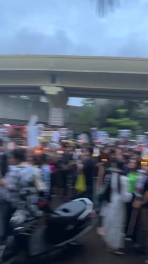 Mansha Bahl Instagram - We want justice #savestreetdogsofdelhincr .
Mumbai stands for Delhi NCR street dogs #savedelhincrdogs