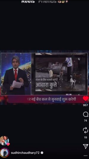 Mansha Bahl Instagram - Really no one said it better than Sudhir Sir 🙏🏽🙏🏽🙏🏽🙏🏽🥹🥹🫶🏽🙌🏽🙌🏽🙌🏽🙌🏽🙌🏽🙌🏽🙌🏽🙌🏽🙌🏽🙌🏽 @sudhirchaudhary72 #savestreetdogsofdelhi #savestreetdogsofdelhincr