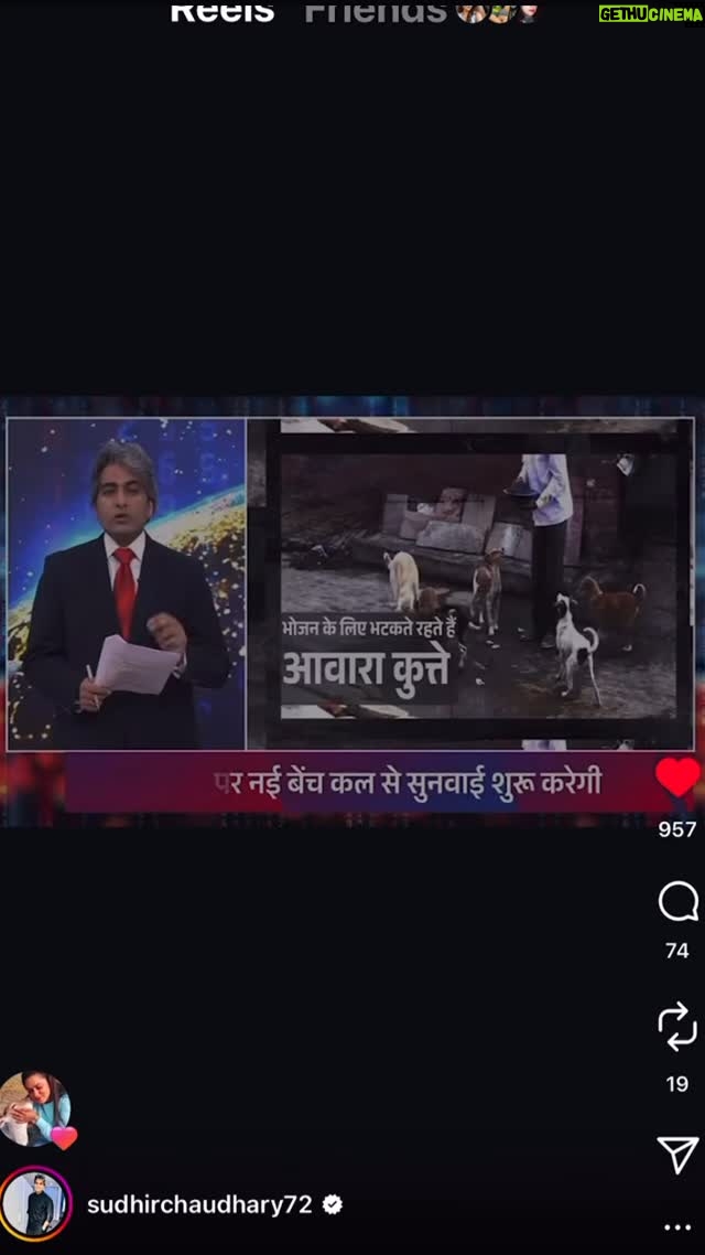 Mansha Bahl - 2.7K Likes - Really no one said it better than Sudhir Sir 🙏🏽🙏🏽🙏🏽🙏🏽🥹🥹🫶🏽🙌🏽🙌🏽🙌🏽🙌🏽🙌🏽🙌🏽🙌🏽🙌🏽🙌🏽🙌🏽 @sudhirchaudhary72 #savestreetdogsofdelhi #savestreetdogsofdelhincr