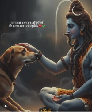 Mansha Bahl Instagram - Leaving it all on you. U have to hear their plight. #omshiva #savedelhincrdogs