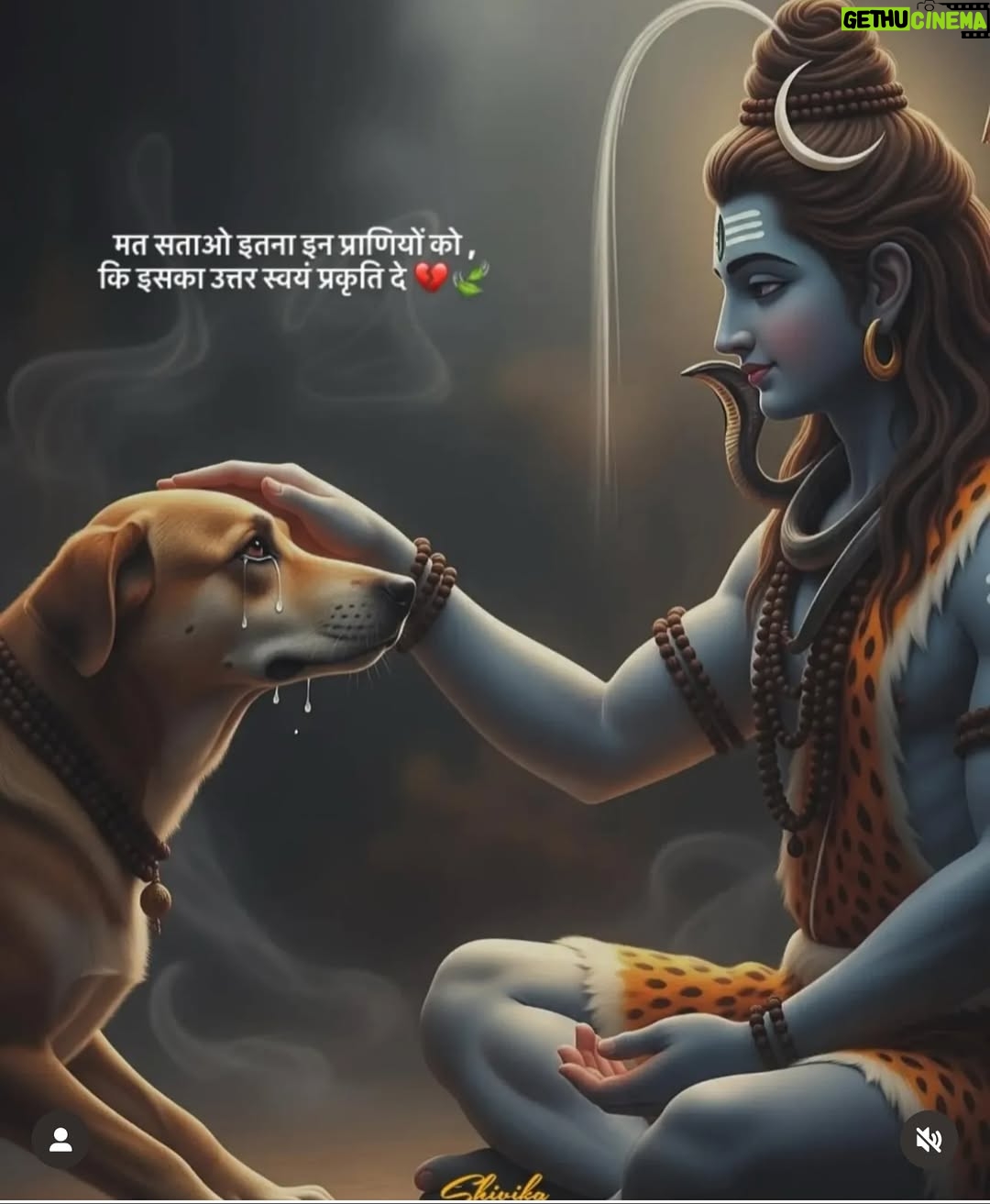 Mansha Bahl - 1K Likes - Leaving it all on you. U have to hear their plight. #omshiva #savedelhincrdogs