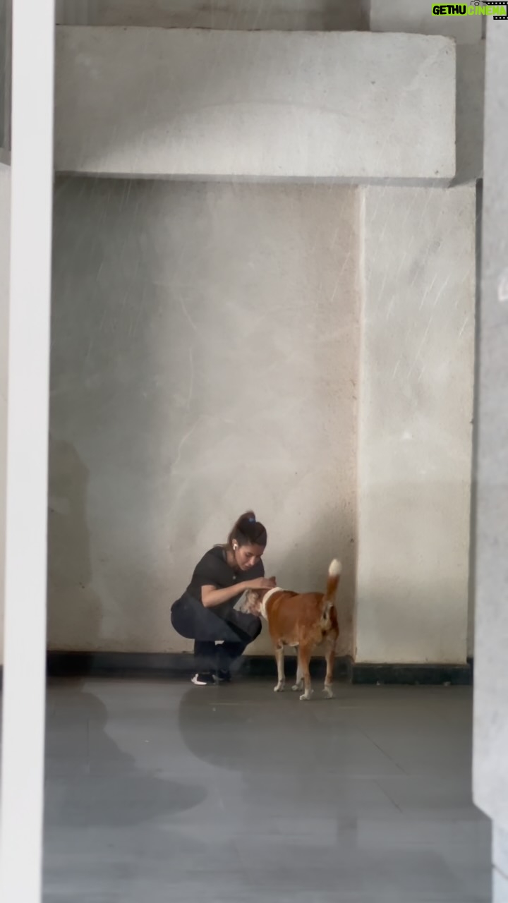 Mansha Bahl - 674 Likes - Try to love them, they will love u back. Our streets are their homes. Don’t make them homeless. Feed them n see how they greet you. Humare bacche hain yeh. It’s their home too. 
#justiceforstreetdogsofdelhi #justicefordelhistreetdogs