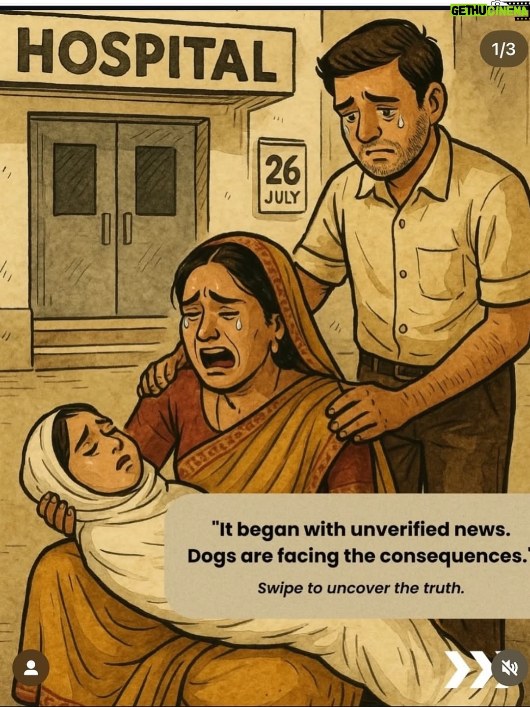 Mansha Bahl - 1.9K Likes - What Actually went down ….. Praying to God to protect them n people to stand United for our babies . 🫶🏽💔💪🏽 #streetdogsofdelhi #delhidogs #justicefordelhistreetdogs