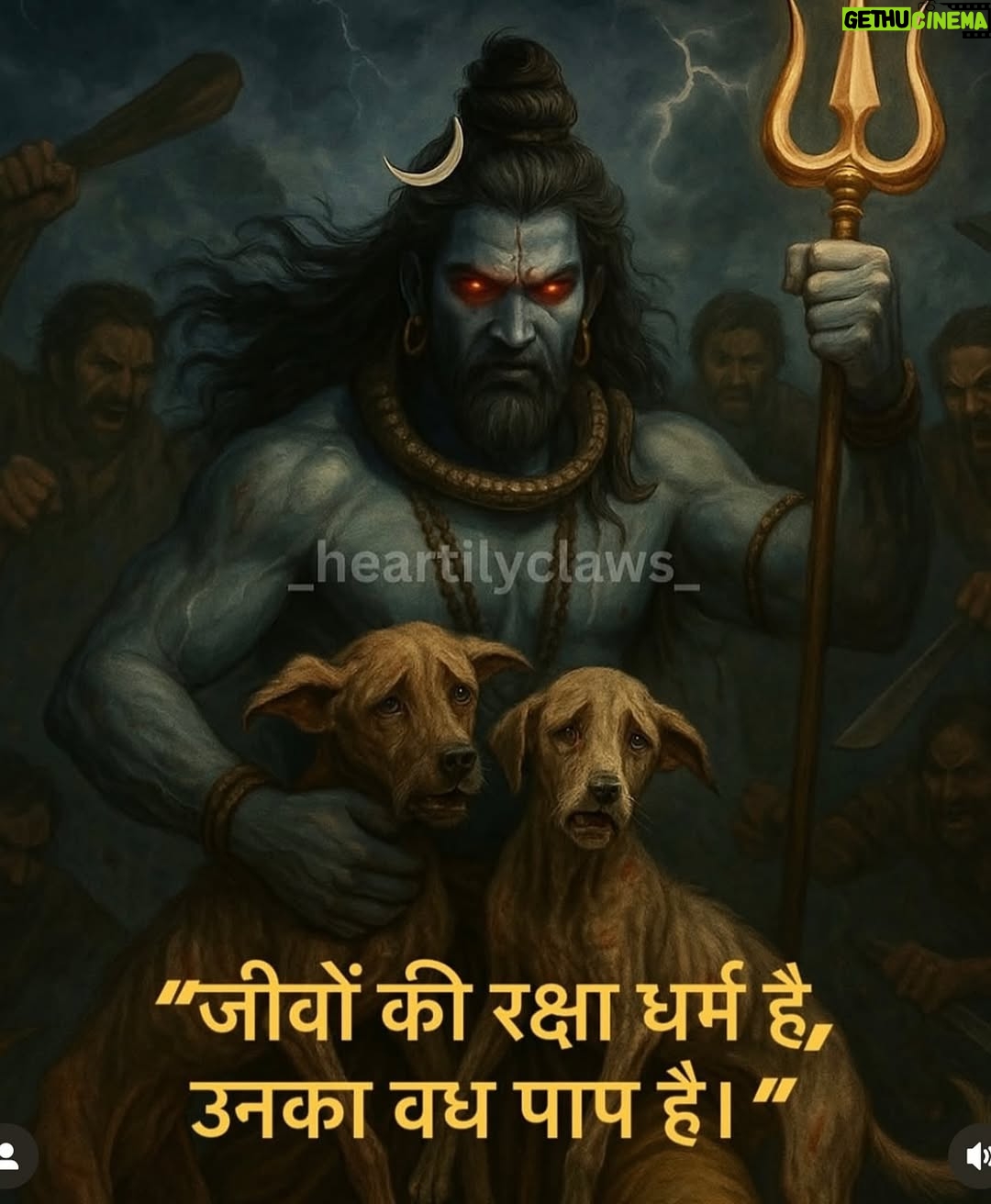 Mansha Bahl - 1K Likes - Leaving it all on you. U have to hear their plight. #omshiva #savedelhincrdogs