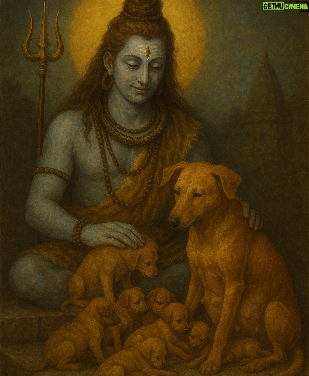 Mansha Bahl - 1K Likes - Leaving it all on you. U have to hear their plight. #omshiva #savedelhincrdogs
