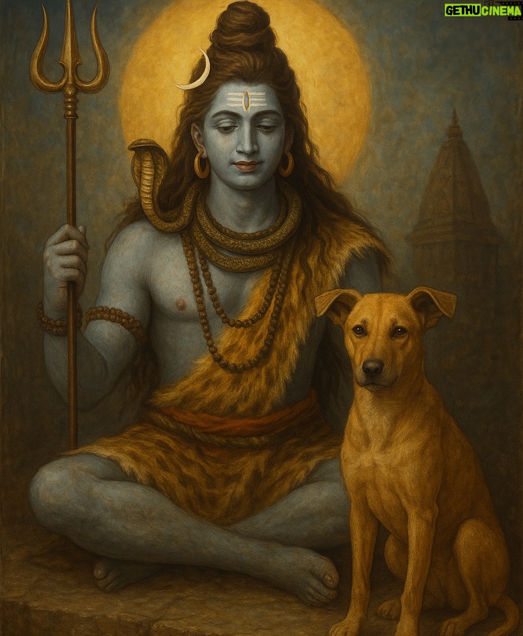 Mansha Bahl - 1K Likes - Leaving it all on you. U have to hear their plight. #omshiva #savedelhincrdogs