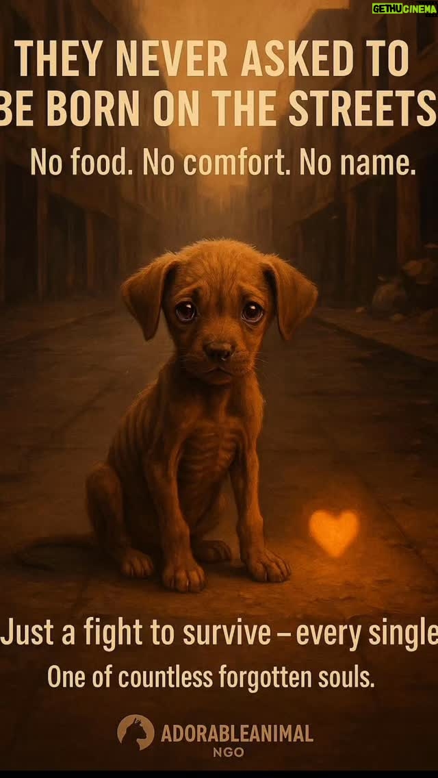 Mansha Bahl - 743 Likes - #letthemlive #abhinahitohkabhinahi #justiceforindianstreetdogs #justicefordelhistreetdogs