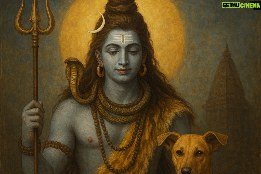 Mansha Bahl - 52.4K Likes - Don’t Panic Delhi Animal lovers. God is with them & Us. “If God brings u to it, He will bring you through it” Stay Strong , stay united!!! #delhi #streetdogs #justicefordelhistreetdogs