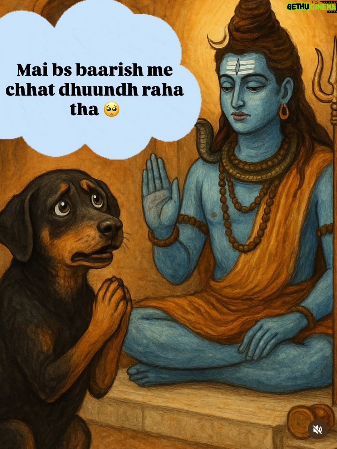 Mansha Bahl - 30.8K Likes - FACTS!!!!!!!! #justiceforstreetdogs #savestreetdogsofdelhincr