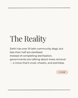 Mansha Bahl Instagram - Delhi’s dogs are under threat and so is compassion.
The Supreme Court’s removal order will not solve overpopulation, rabies, or bite cases. It will only cause cruelty, chaos, and more dogs on the streets later.
The solution already exists: mass sterilisation, rabies vaccination, shutting down illegal breeders, and using ABC funds transparently. The law (ABC Rules 2023) is clear. The money is there. The responsibility lies with State & Central Governments but only public pressure will make them act.
Here’s what you can do TODAY:
👉 Share this post in your stories.
👉 Tag your MLA, MP, and CM.
👉 Ask: Where is the ABC implementation report? Where is the budget being used?
Keeping the streets safe means keeping the wild on the streets sterilised, vaccinated, and cared for not thrown into shelters to die.
Sterilise. Vaccinate. Regulate. Not cruelty.
.
.
.
.
.
.
#Streetdogsofbombay #StreetDogsofIndia #StreetDogLove #dogloversfeed #StrayDogRights #StreetDogsofIndia #streetdoglove #delhicrime #DelhiPolice #delhigram #StreetDogsDeserveBetter #StrayFeederRights