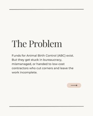 Mansha Bahl Instagram - Delhi’s dogs are under threat and so is compassion.
The Supreme Court’s removal order will not solve overpopulation, rabies, or bite cases. It will only cause cruelty, chaos, and more dogs on the streets later.
The solution already exists: mass sterilisation, rabies vaccination, shutting down illegal breeders, and using ABC funds transparently. The law (ABC Rules 2023) is clear. The money is there. The responsibility lies with State & Central Governments but only public pressure will make them act.
Here’s what you can do TODAY:
👉 Share this post in your stories.
👉 Tag your MLA, MP, and CM.
👉 Ask: Where is the ABC implementation report? Where is the budget being used?
Keeping the streets safe means keeping the wild on the streets sterilised, vaccinated, and cared for not thrown into shelters to die.
Sterilise. Vaccinate. Regulate. Not cruelty.
.
.
.
.
.
.
#Streetdogsofbombay #StreetDogsofIndia #StreetDogLove #dogloversfeed #StrayDogRights #StreetDogsofIndia #streetdoglove #delhicrime #DelhiPolice #delhigram #StreetDogsDeserveBetter #StrayFeederRights