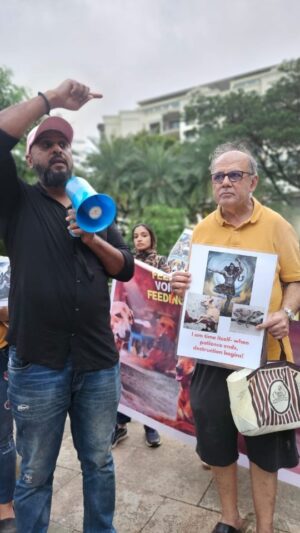 Mansha Bahl Instagram - " NO BAN ON FEEDING ACCROSS INDIA"
THERE IS NO BAN ON FEEDING ACCROSS THE WHOLE COUNTRY, PLEASE FEED FREELY, DONT ENCOURAGE MISINTERPRETATION OF THE SUPREME COURT JUDGEMENT