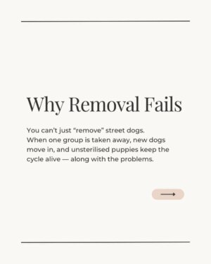 Mansha Bahl Instagram - Delhi’s dogs are under threat and so is compassion.
The Supreme Court’s removal order will not solve overpopulation, rabies, or bite cases. It will only cause cruelty, chaos, and more dogs on the streets later.
The solution already exists: mass sterilisation, rabies vaccination, shutting down illegal breeders, and using ABC funds transparently. The law (ABC Rules 2023) is clear. The money is there. The responsibility lies with State & Central Governments but only public pressure will make them act.
Here’s what you can do TODAY:
👉 Share this post in your stories.
👉 Tag your MLA, MP, and CM.
👉 Ask: Where is the ABC implementation report? Where is the budget being used?
Keeping the streets safe means keeping the wild on the streets sterilised, vaccinated, and cared for not thrown into shelters to die.
Sterilise. Vaccinate. Regulate. Not cruelty.
.
.
.
.
.
.
#Streetdogsofbombay #StreetDogsofIndia #StreetDogLove #dogloversfeed #StrayDogRights #StreetDogsofIndia #streetdoglove #delhicrime #DelhiPolice #delhigram #StreetDogsDeserveBetter #StrayFeederRights