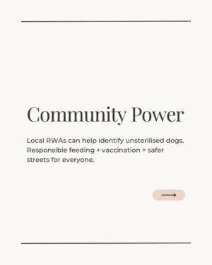 Mansha Bahl Instagram - Delhi’s dogs are under threat and so is compassion.
The Supreme Court’s removal order will not solve overpopulation, rabies, or bite cases. It will only cause cruelty, chaos, and more dogs on the streets later.
The solution already exists: mass sterilisation, rabies vaccination, shutting down illegal breeders, and using ABC funds transparently. The law (ABC Rules 2023) is clear. The money is there. The responsibility lies with State & Central Governments but only public pressure will make them act.
Here’s what you can do TODAY:
👉 Share this post in your stories.
👉 Tag your MLA, MP, and CM.
👉 Ask: Where is the ABC implementation report? Where is the budget being used?
Keeping the streets safe means keeping the wild on the streets sterilised, vaccinated, and cared for not thrown into shelters to die.
Sterilise. Vaccinate. Regulate. Not cruelty.
.
.
.
.
.
.
#Streetdogsofbombay #StreetDogsofIndia #StreetDogLove #dogloversfeed #StrayDogRights #StreetDogsofIndia #streetdoglove #delhicrime #DelhiPolice #delhigram #StreetDogsDeserveBetter #StrayFeederRights