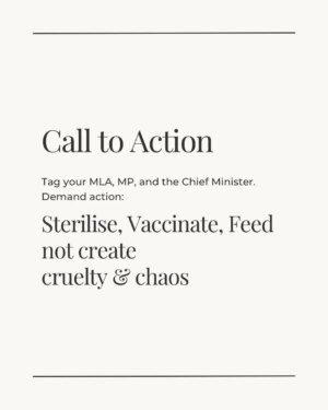 Mansha Bahl Instagram - Delhi’s dogs are under threat and so is compassion.
The Supreme Court’s removal order will not solve overpopulation, rabies, or bite cases. It will only cause cruelty, chaos, and more dogs on the streets later.
The solution already exists: mass sterilisation, rabies vaccination, shutting down illegal breeders, and using ABC funds transparently. The law (ABC Rules 2023) is clear. The money is there. The responsibility lies with State & Central Governments but only public pressure will make them act.
Here’s what you can do TODAY:
👉 Share this post in your stories.
👉 Tag your MLA, MP, and CM.
👉 Ask: Where is the ABC implementation report? Where is the budget being used?
Keeping the streets safe means keeping the wild on the streets sterilised, vaccinated, and cared for not thrown into shelters to die.
Sterilise. Vaccinate. Regulate. Not cruelty.
.
.
.
.
.
.
#Streetdogsofbombay #StreetDogsofIndia #StreetDogLove #dogloversfeed #StrayDogRights #StreetDogsofIndia #streetdoglove #delhicrime #DelhiPolice #delhigram #StreetDogsDeserveBetter #StrayFeederRights