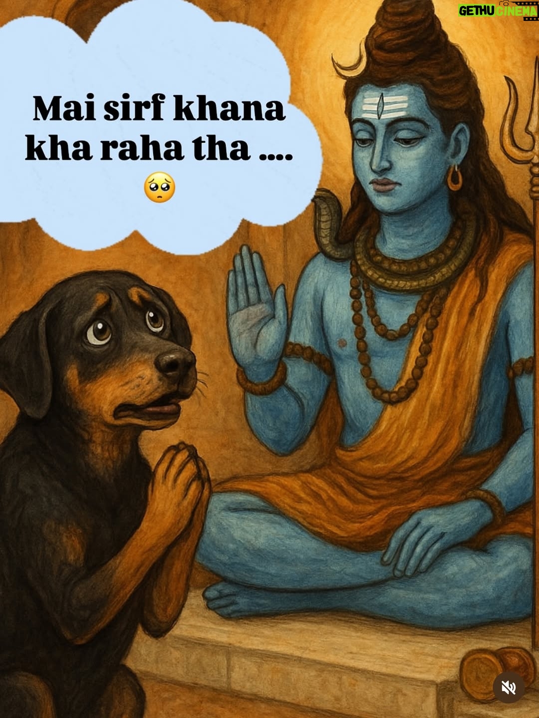 Mansha Bahl - 30.8K Likes - FACTS!!!!!!!! #justiceforstreetdogs #savestreetdogsofdelhincr