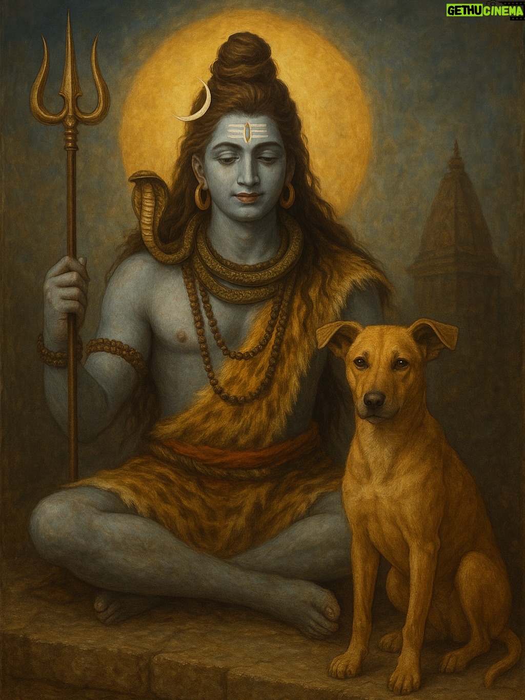 Mansha Bahl - 47.7K Likes - 💔💔💔💔 Delhi . When the law fails the voiceless, people must speak up. The Supreme Court’s new order to remove Delhi street dogs from the streets and send them to “shelters” in 8 weeks is not only wrong in law, it’s cruel. There are hardly any real shelters, no proper vet hospitals, and very few licensed vets. The Animal Birth Control program — which should have sterilised and vaccinated dogs — was ignored while money meant for it was wasted. The media has spread big, unproven numbers about rabies deaths, creating fear. Even our Prime Minister, Narendra Modi, has spoken about protecting pashu-pakshi (animals and birds). Now, dogs like Bura, Rani, Kalu, Brownie, Angel, and Whitie — who are like family to us — may end up in cages, starving, and dying from disease. Our culture and religion teach us to feed and care for animals, and our laws, including the 2023 Supreme Court orders, say community dogs have the right to live where they are. This order ignores both law and humanity. But this fight is not over. We will stand together, protect them, and challenge this. Karma is watching, and kindness will win.