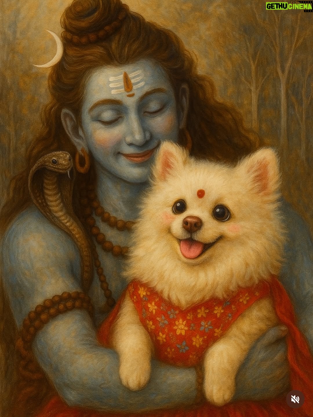 Mansha Bahl - 47.7K Likes - 💔💔💔💔 Delhi . When the law fails the voiceless, people must speak up. The Supreme Court’s new order to remove Delhi street dogs from the streets and send them to “shelters” in 8 weeks is not only wrong in law, it’s cruel. There are hardly any real shelters, no proper vet hospitals, and very few licensed vets. The Animal Birth Control program — which should have sterilised and vaccinated dogs — was ignored while money meant for it was wasted. The media has spread big, unproven numbers about rabies deaths, creating fear. Even our Prime Minister, Narendra Modi, has spoken about protecting pashu-pakshi (animals and birds). Now, dogs like Bura, Rani, Kalu, Brownie, Angel, and Whitie — who are like family to us — may end up in cages, starving, and dying from disease. Our culture and religion teach us to feed and care for animals, and our laws, including the 2023 Supreme Court orders, say community dogs have the right to live where they are. This order ignores both law and humanity. But this fight is not over. We will stand together, protect them, and challenge this. Karma is watching, and kindness will win.