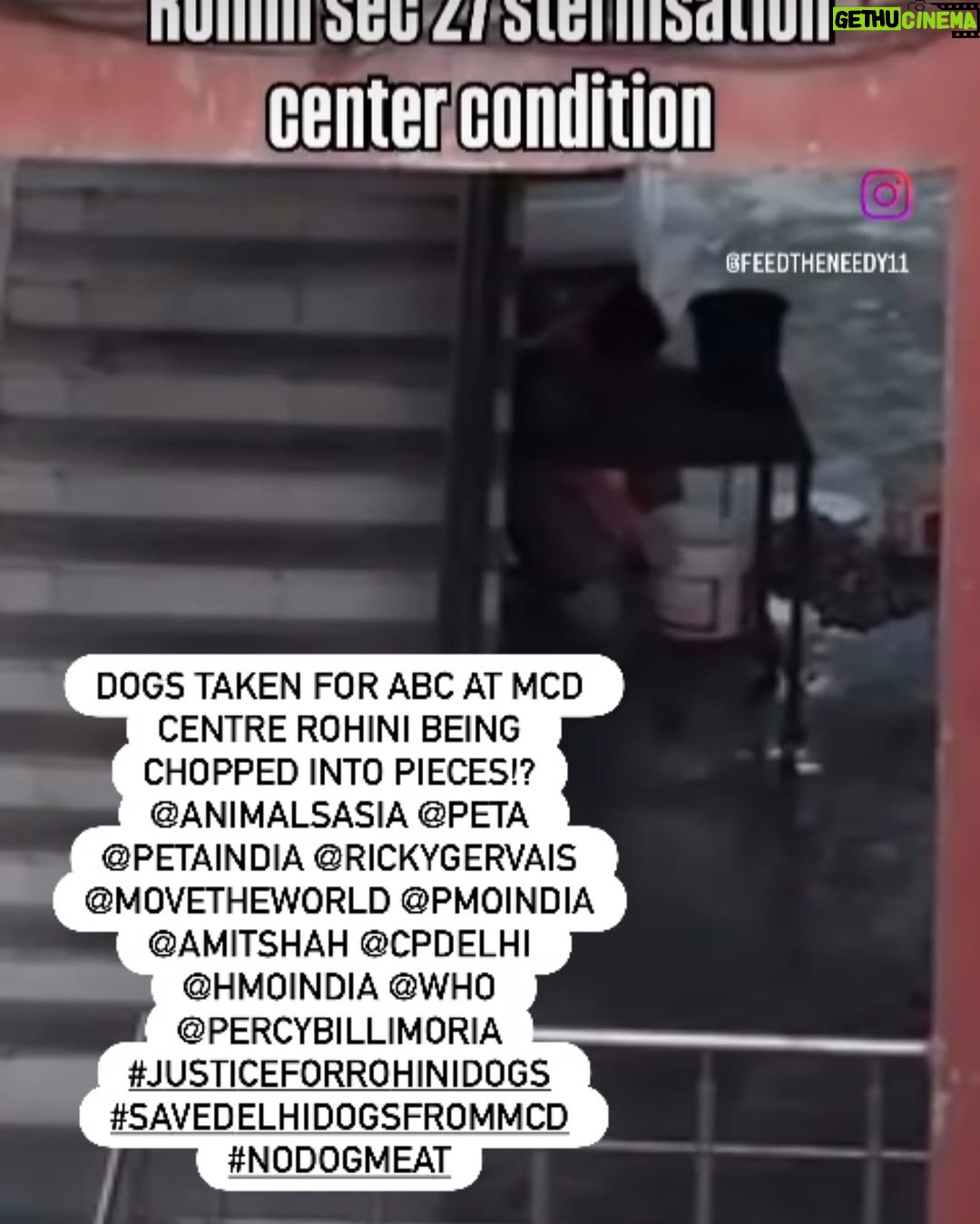 Mansha Bahl - 647 Likes - ABC Sterlisation unit!!! 🤬🤬🤬🤬 SLAUGHTER FACTORY #savedelhincrdogs