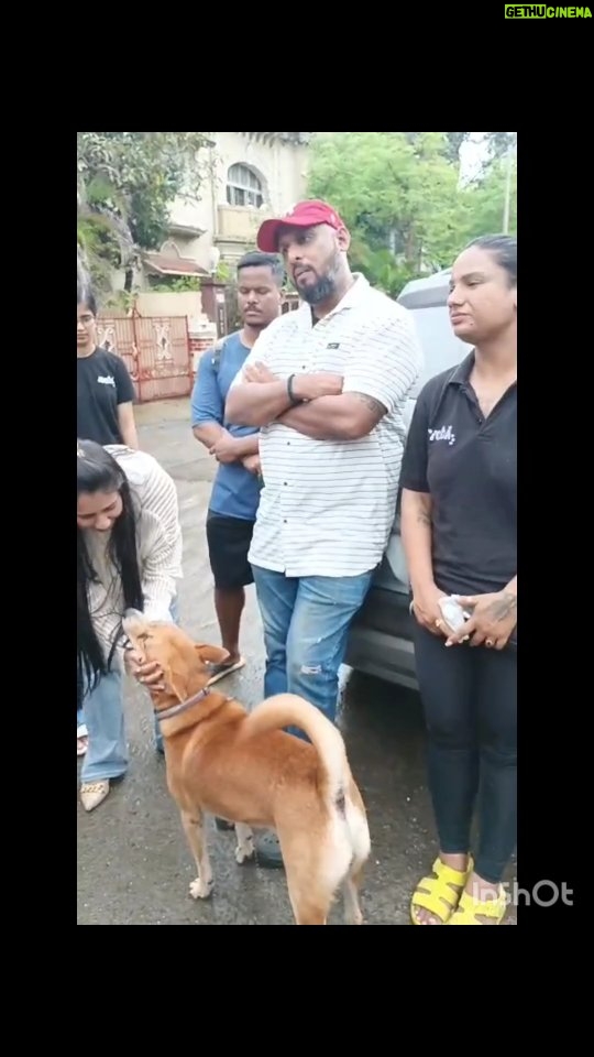 Mansha Bahl - 417 Likes - " ORDER REMOVAL OF AUTHORITIES NOT DOGS " 

Blame the Municipal Corporation of the Country not the dogs, the judicial system should pass orders to fine, or terminate incompetent authorities who have failed at their Task for Decades now 

Let's Unite Let's Stay Together 
Maharashtra Stand in Support Delhi 

" Bezubaan Ki Ladai Mein Darna Mana Hai "

#savedelhincrdogs
