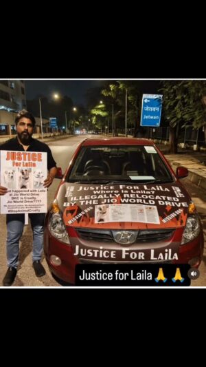 Mansha Bahl Instagram - ⸻
In the middle of our fight for India’s voiceless dogs, one soul has gone missing since last 3 months — Laila, the beloved Jio Mall dog. CCTV shows three men picking her up; since then, she has vanished.
For 3 months, @hw_foundation has been fighting alone to find her and seek justice. But this is not just their fight — it’s ours. Laila’s voice cannot go silent.
Mumbaikars, let’s come together to find out what happened to her. Alive or gone, she deserves the truth, and so do all our street babies. 🐾🕯️
#JusticeForLaila #FindLaila #VoicelessButNotForgotten”**