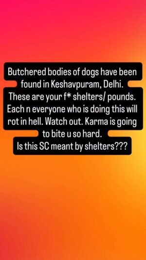 Mansha Bahl Instagram - They r killing dogs. Butchered bodies dumped have been found in keshavpuram, Delhi. Such a shame. U ppl are messing with GOD. Wait n watch. See this @vjrangare @xavierbernardsantiago @noorverma_ @pfa.official @streetdogsofbombay @petaindia @peepalfarm @vjrangare #savestreetdogsofdelhincr #savestreetdogsofdelhi