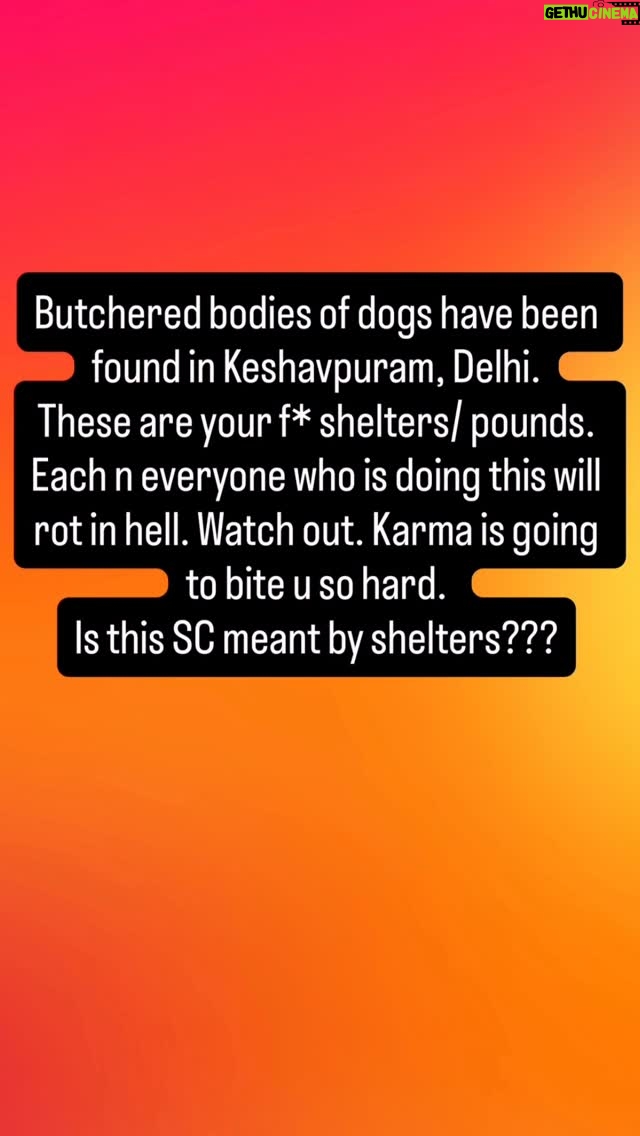 Mansha Bahl - 6.8K Likes - They r killing dogs. Butchered bodies dumped have been found in keshavpuram, Delhi. Such a shame. U ppl are messing with GOD. Wait n watch. See this @vjrangare @xavierbernardsantiago @noorverma_ @pfa.official @streetdogsofbombay @petaindia @peepalfarm @vjrangare #savestreetdogsofdelhincr #savestreetdogsofdelhi
