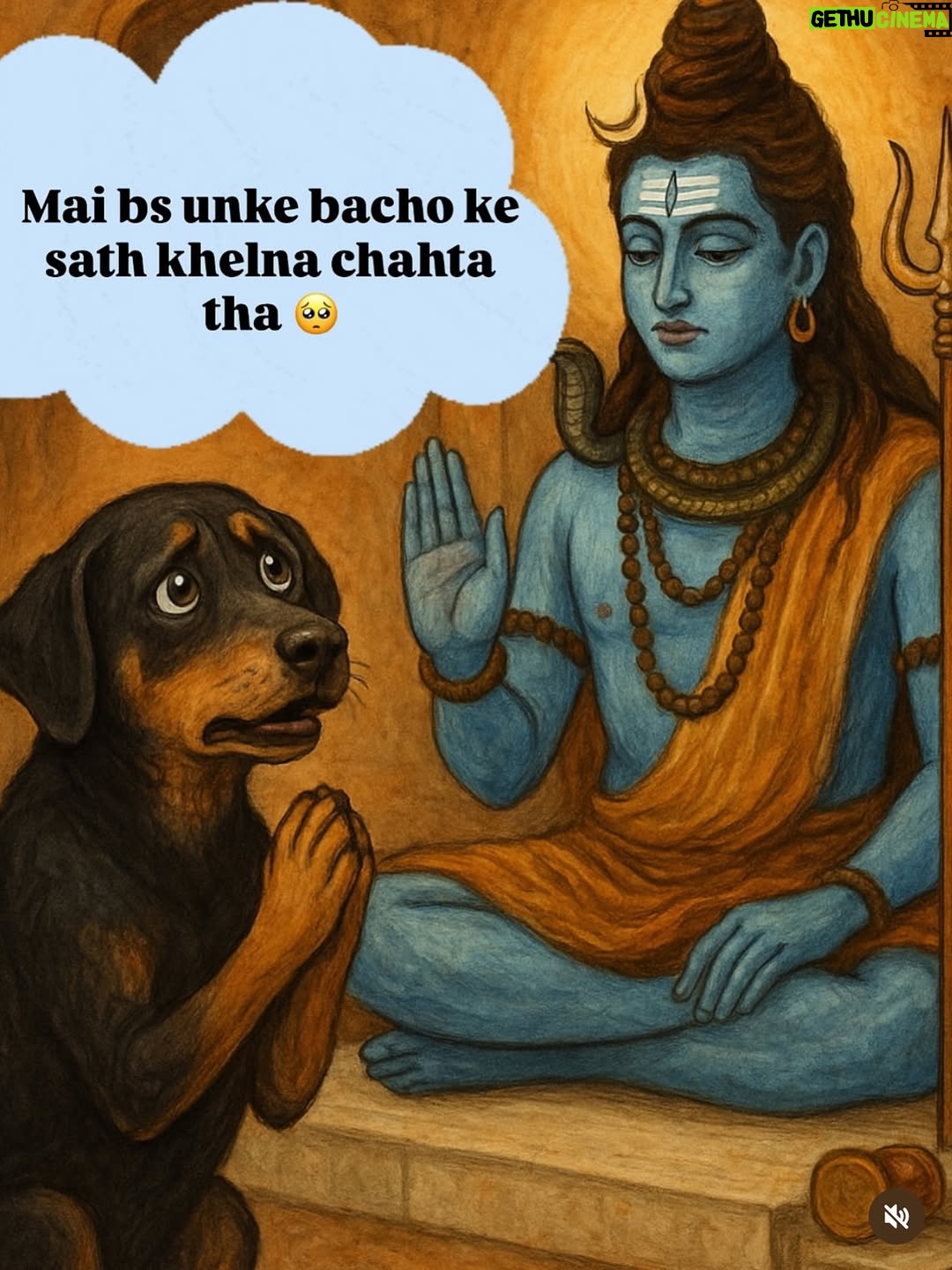 Mansha Bahl - 30.8K Likes - FACTS!!!!!!!! #justiceforstreetdogs #savestreetdogsofdelhincr