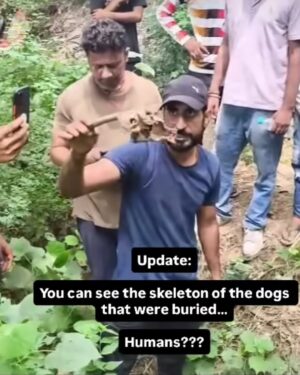 Mansha Bahl Instagram - ABC Sterlisation unit!!! 🤬🤬🤬🤬 SLAUGHTER FACTORY #savedelhincrdogs