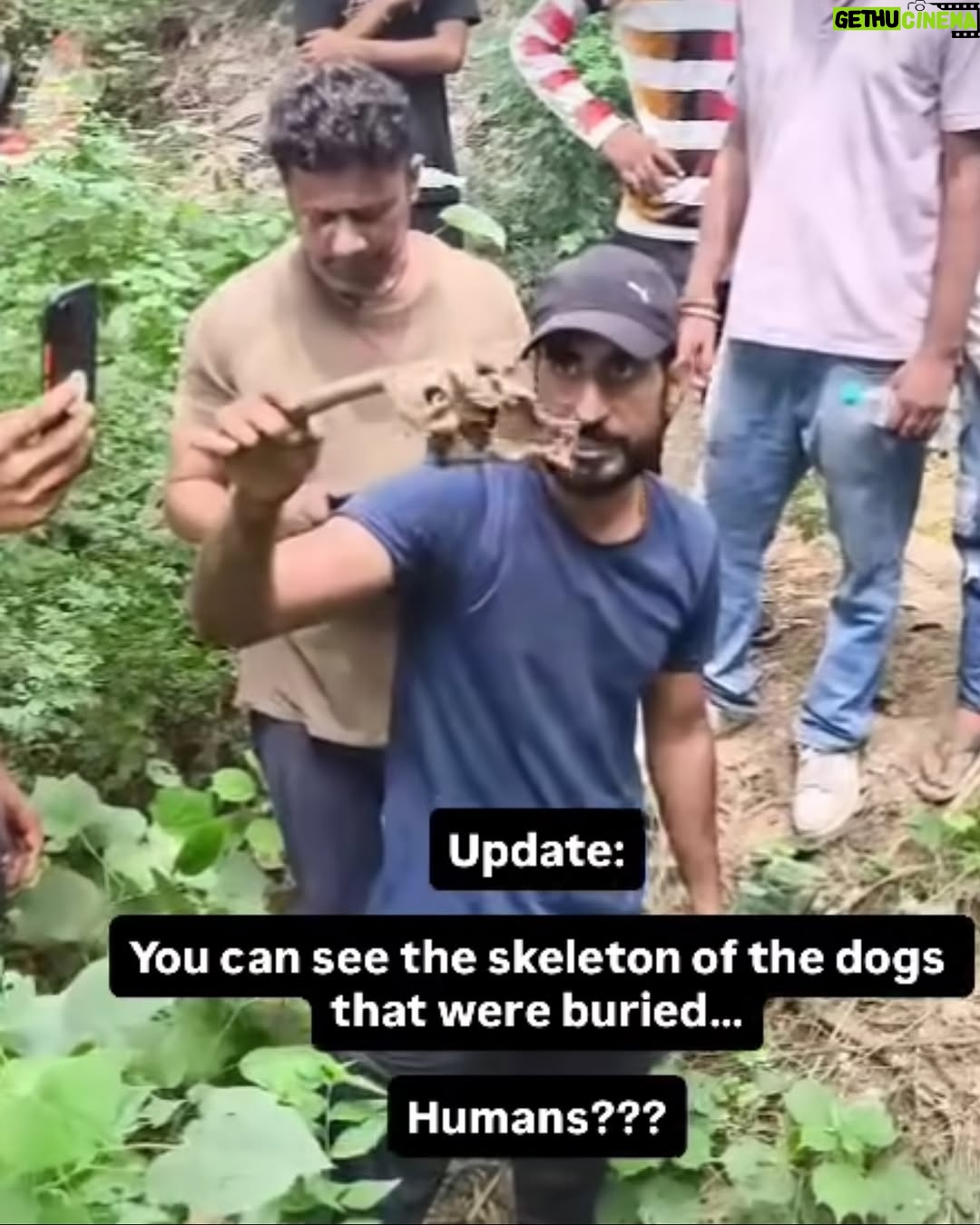 Mansha Bahl - 647 Likes - ABC Sterlisation unit!!! 🤬🤬🤬🤬 SLAUGHTER FACTORY #savedelhincrdogs