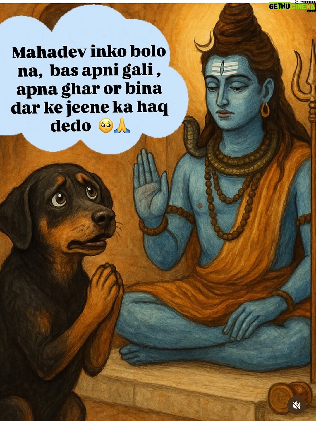 Mansha Bahl - 30.8K Likes - FACTS!!!!!!!! #justiceforstreetdogs #savestreetdogsofdelhincr